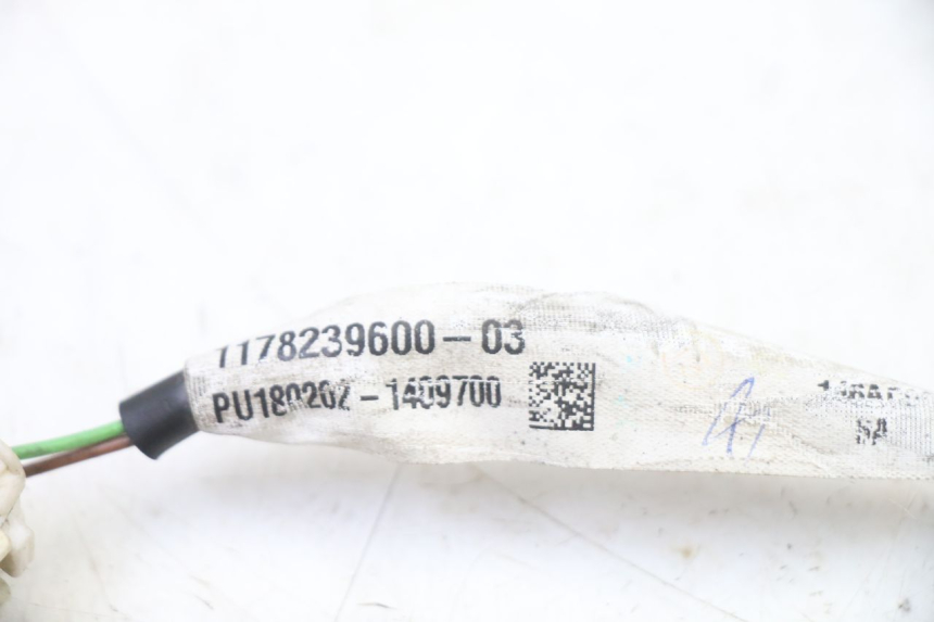 photo de VEILLEUSE PEUGEOT SATELIS 125 (2013 - 2018)