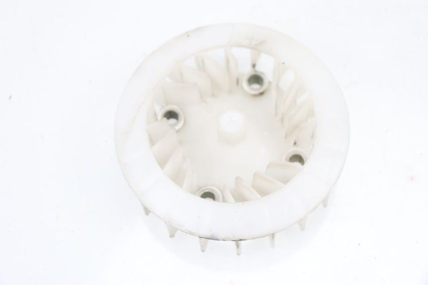 photo de VENTILATEUR JM MOTORS VIPER 4T 50 (2015 - 2022)