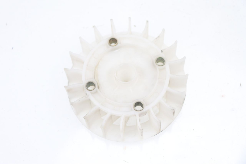 photo de VENTILATEUR JM MOTORS VIPER 4T 50 (2015 - 2022)