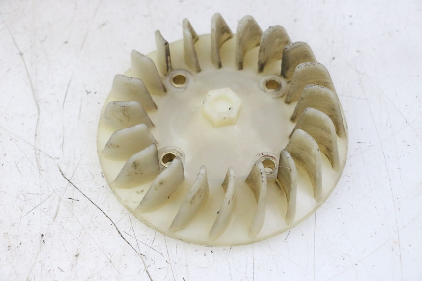 photo de VENTILATEUR PGO RODOSHOW 2T 50 (2003 - 2007)