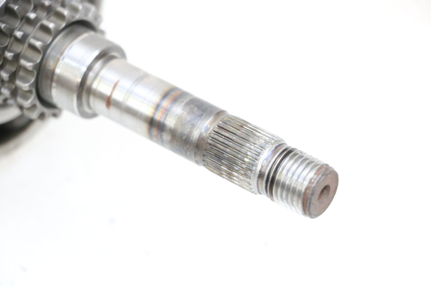 photo de VILEBREQUIN HONDA NHX LEAD 110 (2008 - 2010)
