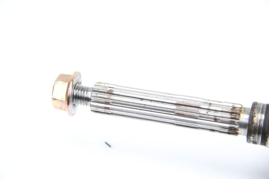 photo de VILEBREQUIN PIAGGIO NEW TYPHOON 50 (2010 - 2017)