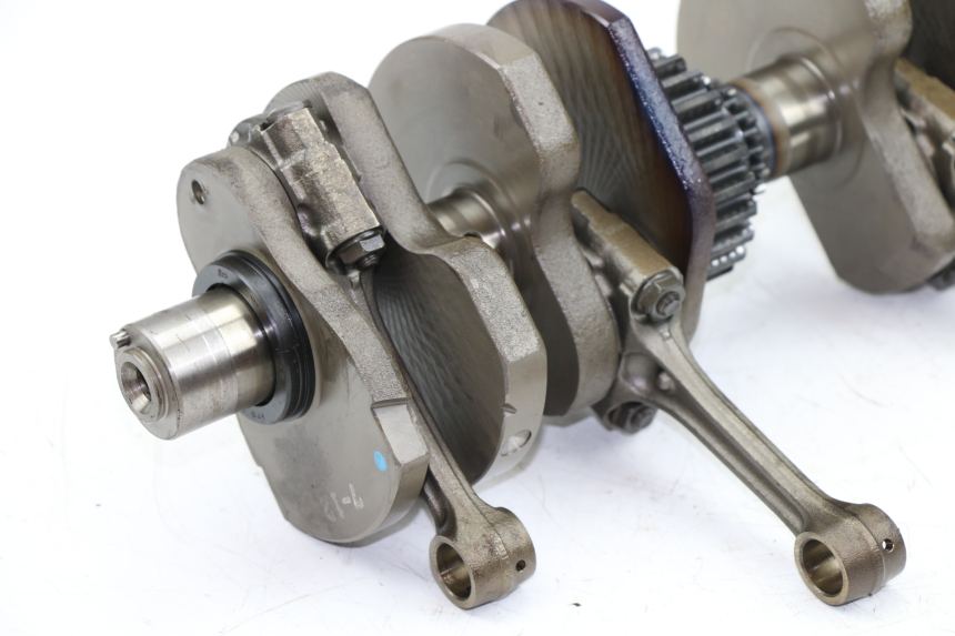 photo de VILEBREQUIN YAMAHA XJS DIVERSION 600 (2000 - 2003)