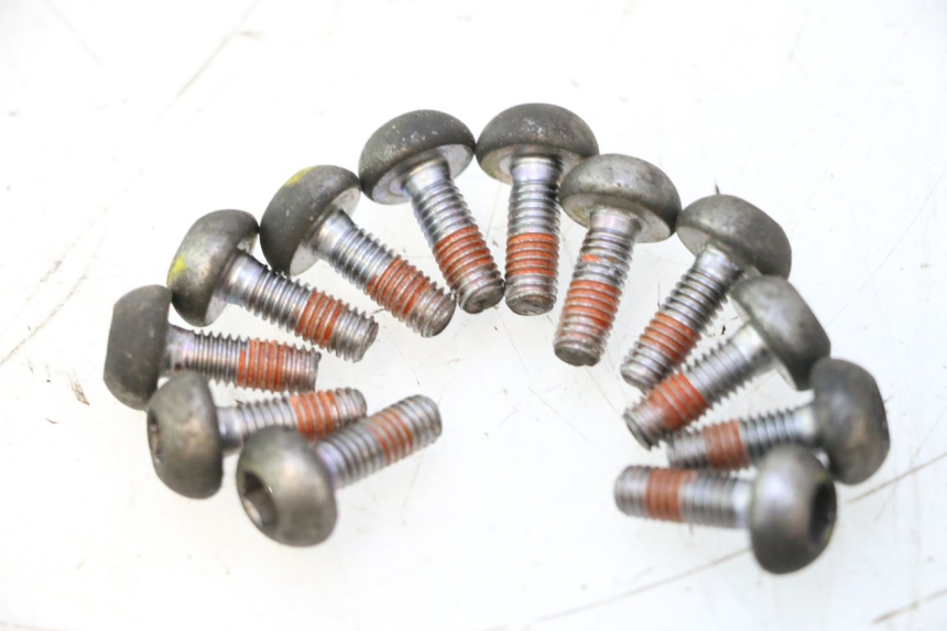 photo de VIS DISQUE DE FREIN HONDA CB F HORNET 600 (2005 - 2006) - Points de fixation