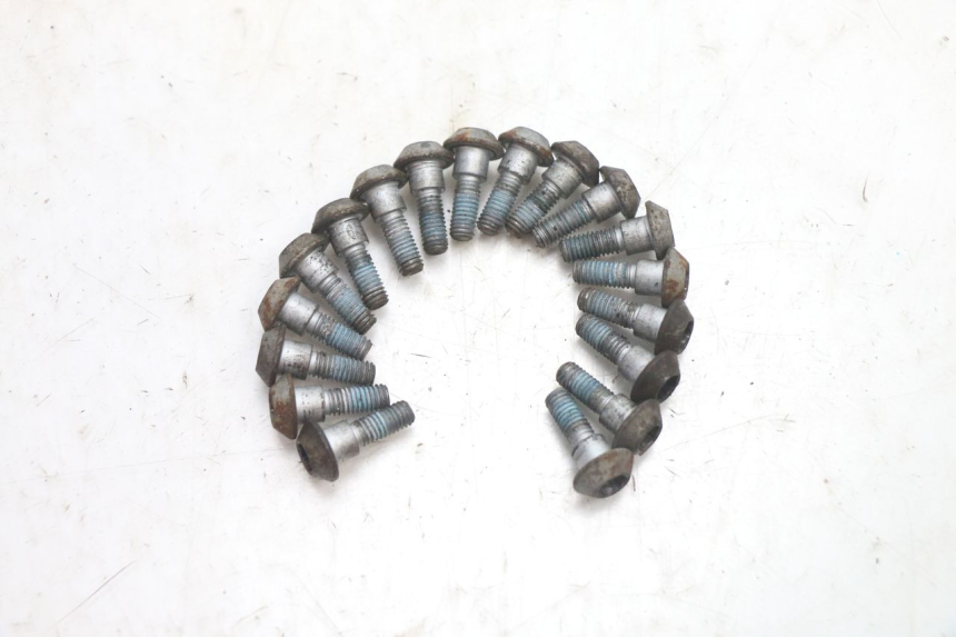 photo de VIS DISQUE DE FREIN YAMAHA FJR 1300 (2001 - 2005) - Détail de la pièce