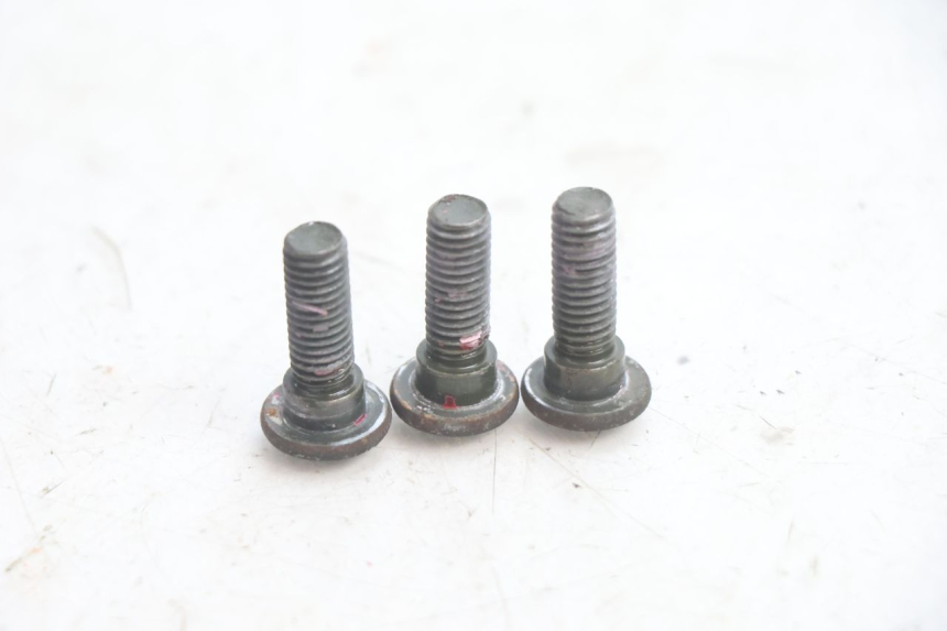 photo de VIS DISQUE DE FREIN TNT MOTOR ROMA 12' 2T 50 (2007 - 2018) - Zoom état d’usage